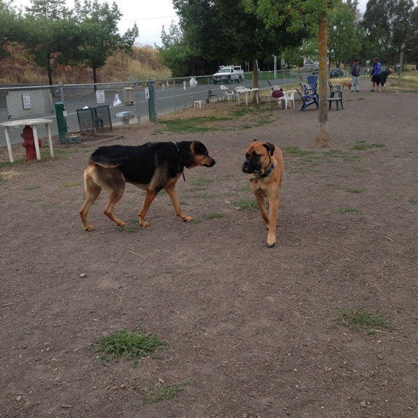 Rohnert Park Dog Park 1 tip