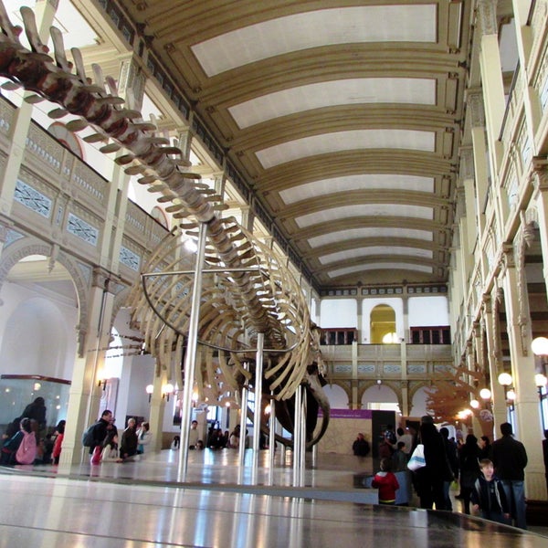Photo prise au Museo Nacional de Historia Natural par Museo Nacional de Historia Natural le8/29/2018