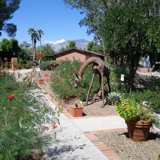 Das Foto wurde bei Canyon Ranch in Tucson von Brian A. am 9/30/2012 aufgenommen