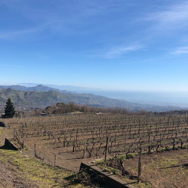 Photo taken at Gambino Vini by Sebastian P. on 2/24/2020