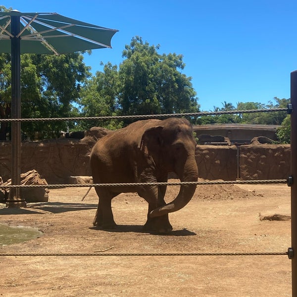 6/27/2022 tarihinde Yuna S.ziyaretçi tarafından Honolulu Zoo'de çekilen fotoğraf