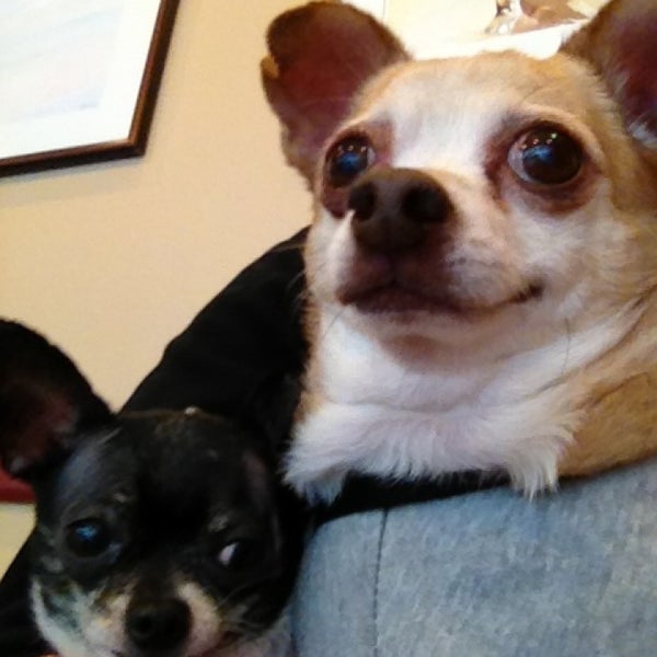 Photos At Garden State Veterinary Specialists 7 Tips