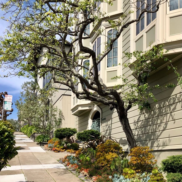 Laurel Heights Neighborhood in San Francisco