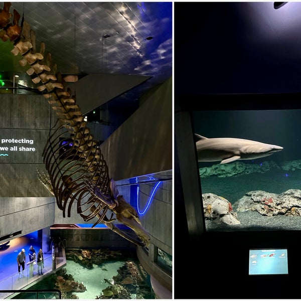 Foto tomada en National Aquarium  por Aaron el 10/15/2023