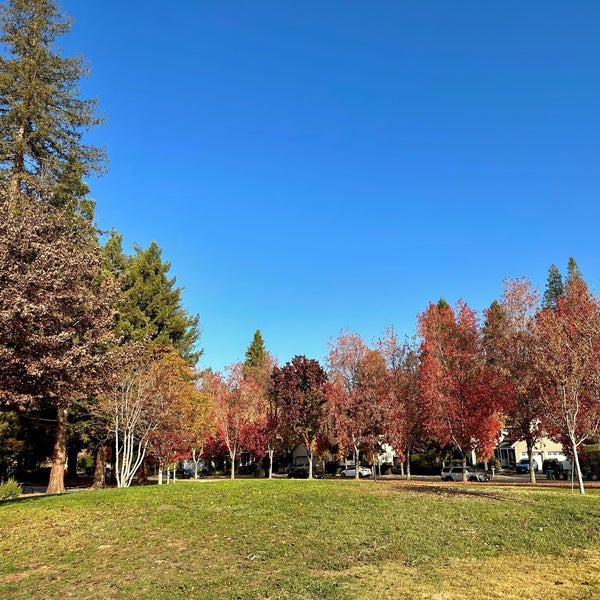 Sylvan Park Playground in Mountain View