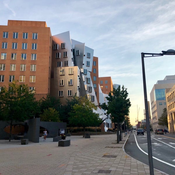 T university