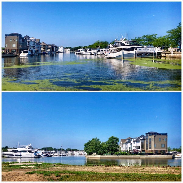 New Buffalo Municipal Marina Harbor or Marina in New Buffalo