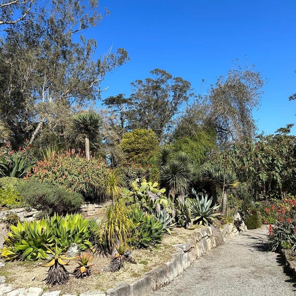 รูปภาพถ่ายที่ San Francisco Botanical Garden โดย Aaron เมื่อ 2/14/2023