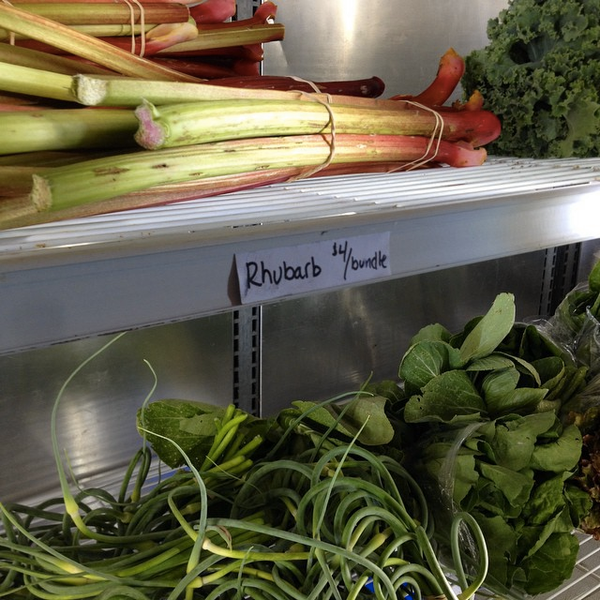 Silver Queen Farm Farm in Trumansburg