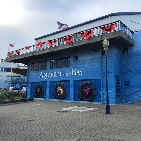 10/20/2019にSergey I.がAquarium of the Bayで撮った写真