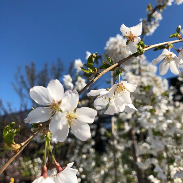 Photos at The Home Depot North Issaquah Issaquah, WA