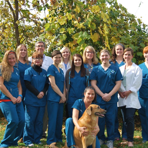 Great Silver Spring Animal Wellness of all time The ultimate guide 