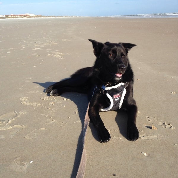 Photos at Ocean Hammock Park Walkway Hiking Trail in St Augustine