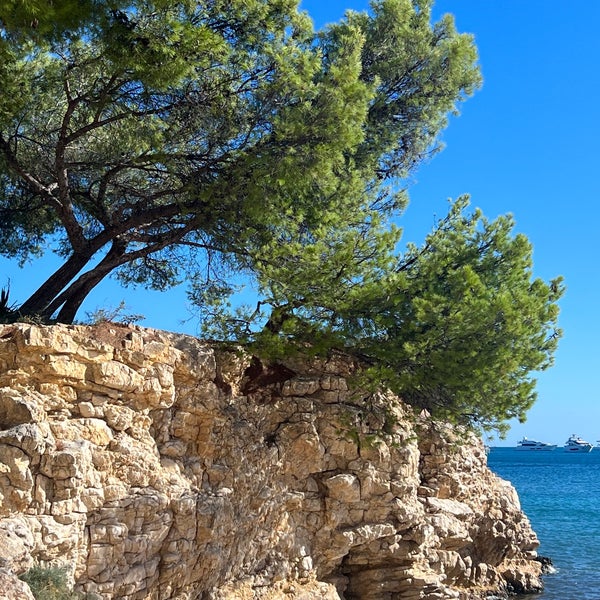 Platja De Palmanova - Beach