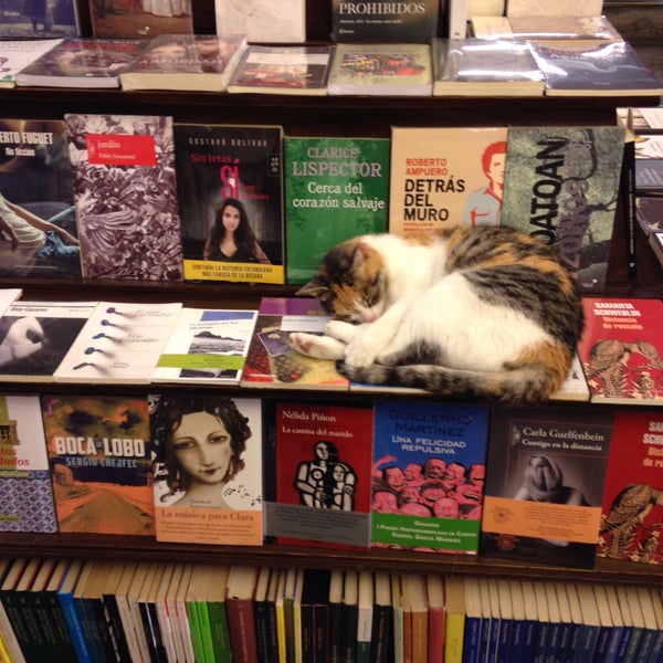 Photo taken at Librería El Virrey by Claudia Yañez . on 1/8/2016