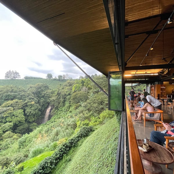 starbucks costa rica coffee farm