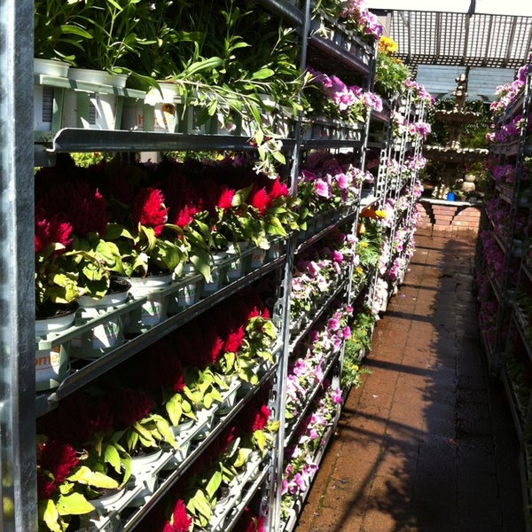 Flower Power Enfield Cafe Best Flower Site