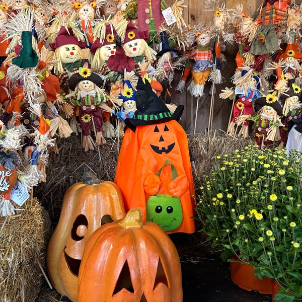Stew Leonard's Supermarket in Yonkers