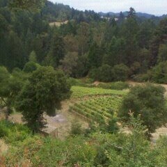 Photo taken at Regale Winery &amp; Vineyards by Martha Y. on 6/9/2013