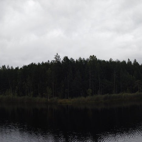 Пик восточное бутово боброво. Храм пресвятой богородицы бобров воронежская область. Бобры в окском заповеднике рязанской области. Восточное бутово. Боброво калужская область думиничский район.
