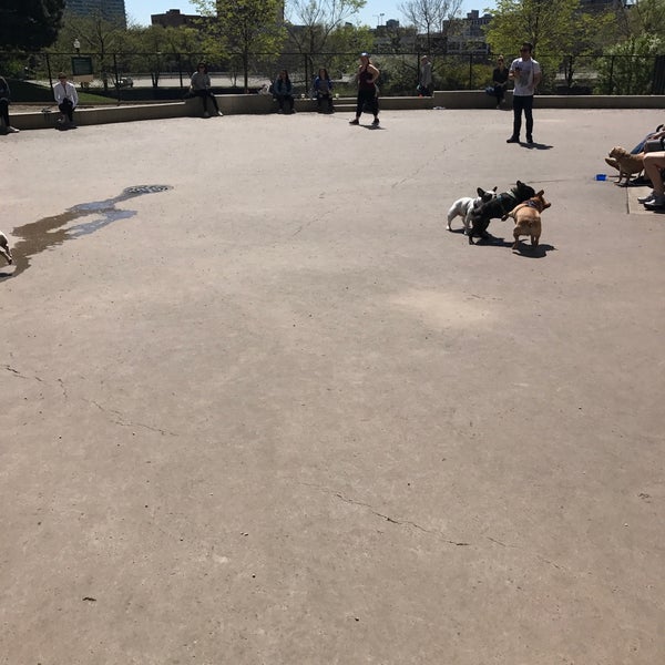 Larrabee Dog Park River North 3 tips