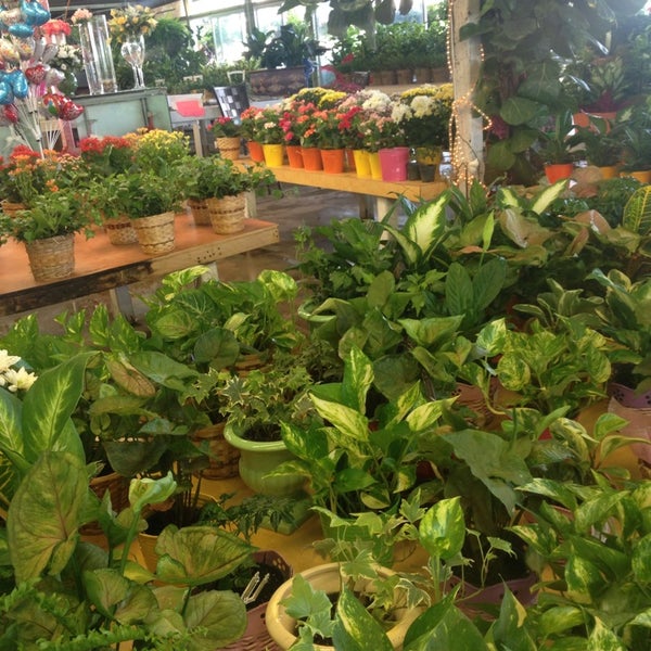 Photos at Fannin Flowers Inc 4803 Fannin St