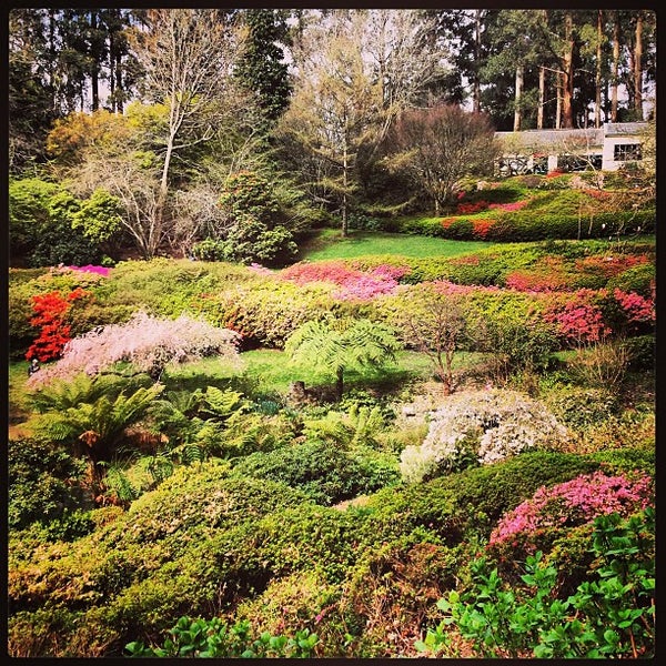 Photos At National Rhododendron Gardens Garden
