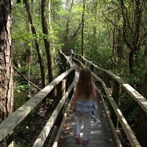 Photos At Uwf Edward Ball Nature Trail Trail