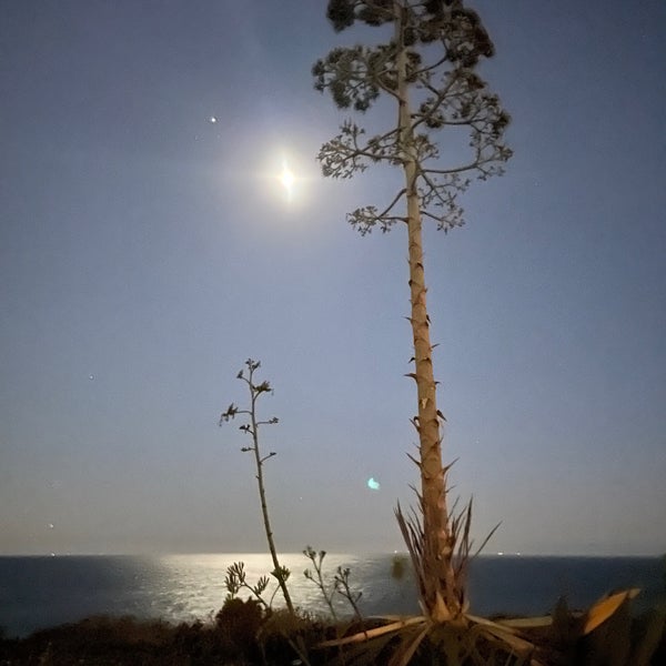 10/15/2021 tarihinde Randyziyaretçi tarafından Terranea Resort'de çekilen fotoğraf