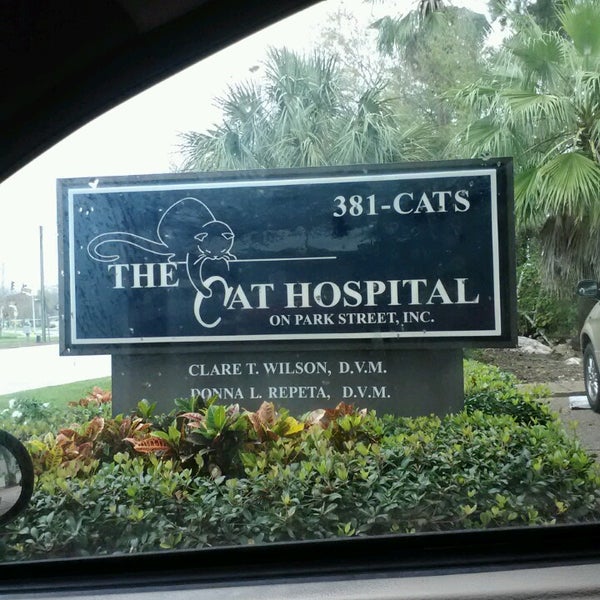 The Cat Hospital on Park Street 22 Park St S