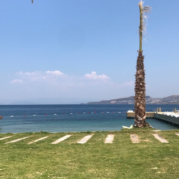 Photo taken at Dodo Beach Club by Bapplesn on 6/22/2019