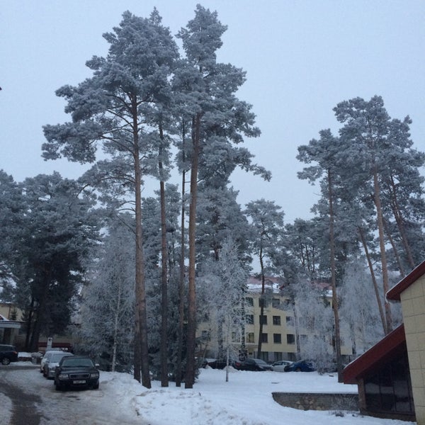 Стайки олимпийский спортивный комплекс