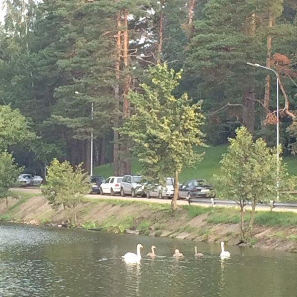 Стайки олимпийский спортивный комплекс