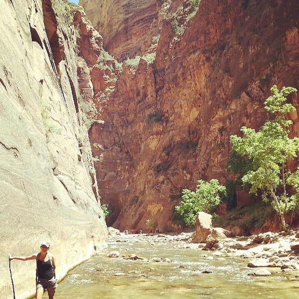 The Narrows of Zion Canyon Springdale, UT