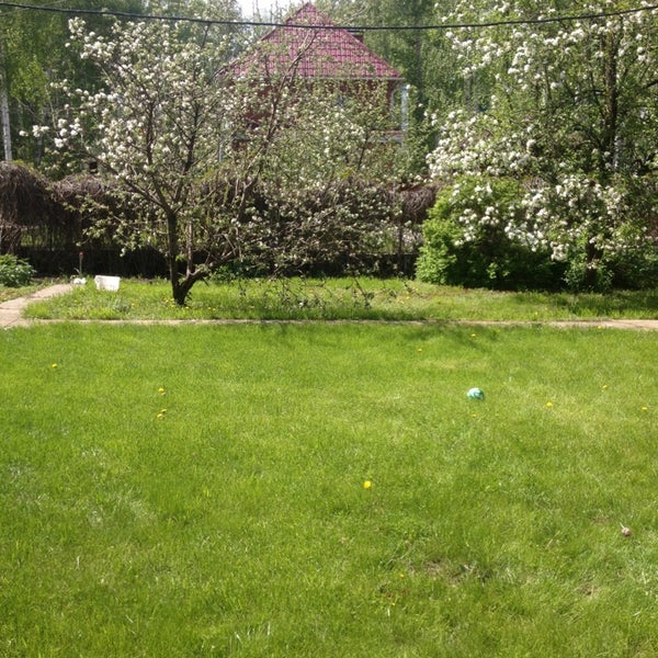 Купить Сад В Петушках В Челябинске