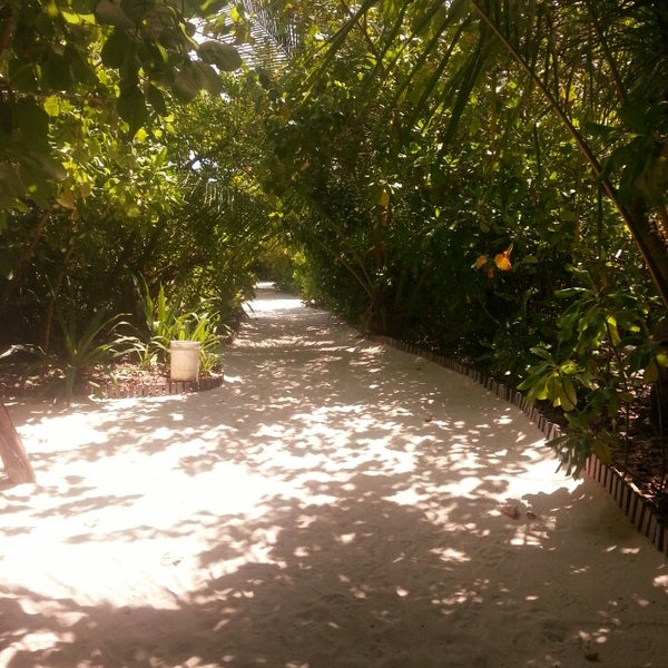 Экскурсия на Maadhoo Finolhu