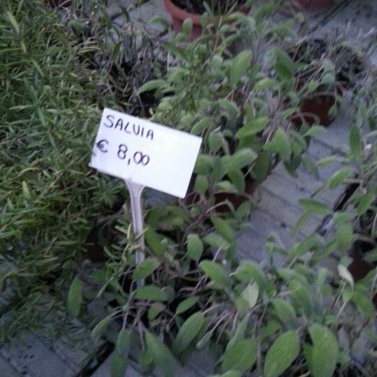 fioraio