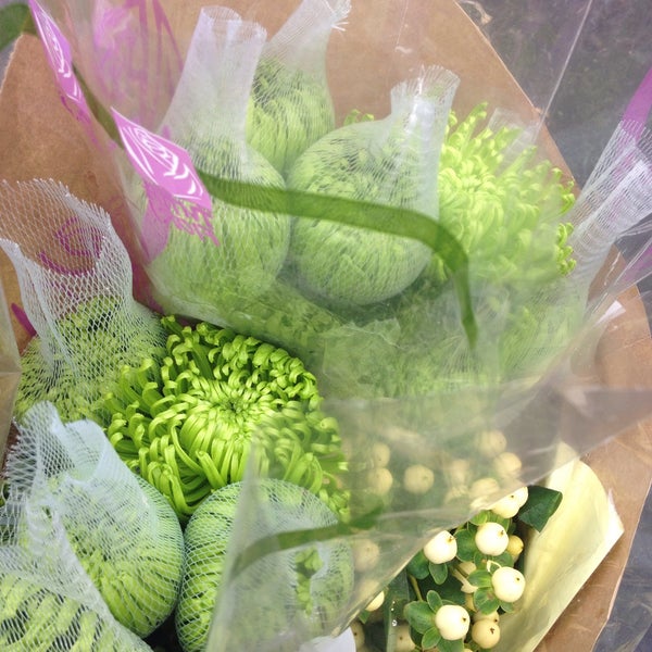 Import Flowers Sylvan Park 2 Tips