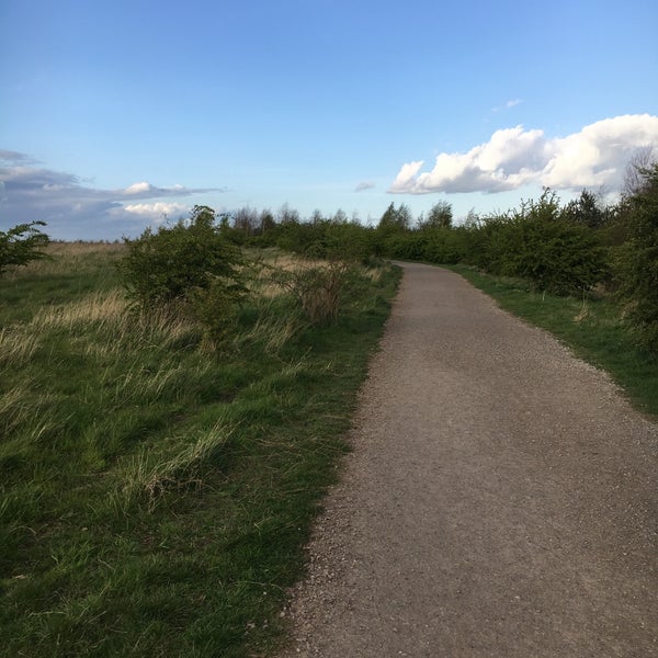 Gedling Country Park Gedling, Nottinghamshire Gedling Country Park Gedling, Nottinghamshire
