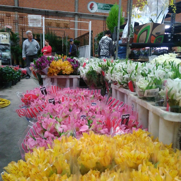 Photos at Mercado das Flores do Ceasa - Rod. BR 116, 22281