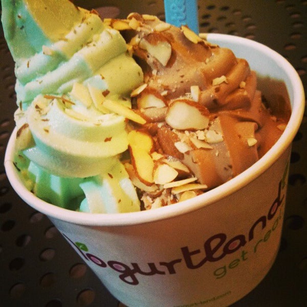 Yogurtland Frozen Yogurt Shop in Irvine