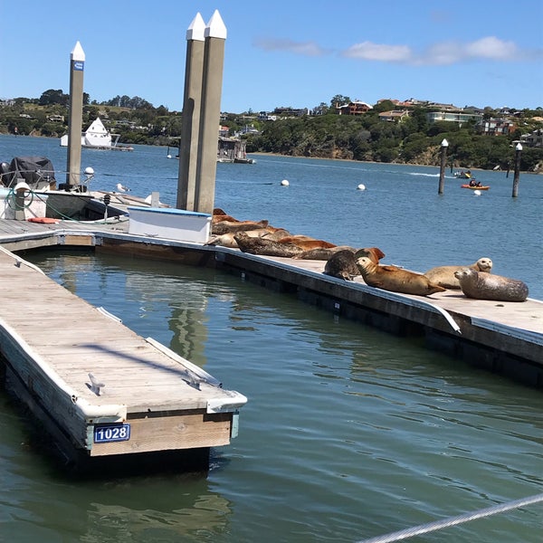 Clipper Yacht Harbor Harbor or Marina in Marinship