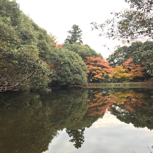 Photos At 白馬渓 臼杵市 大分県