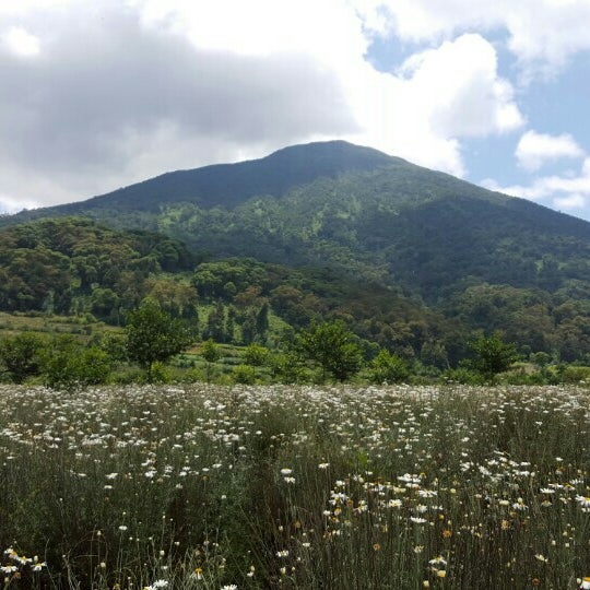 Foto scattata a Volcanoes National Park da Rani H. il 3/19/2016