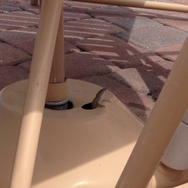 Provence Bay pool Vero Beach, FL