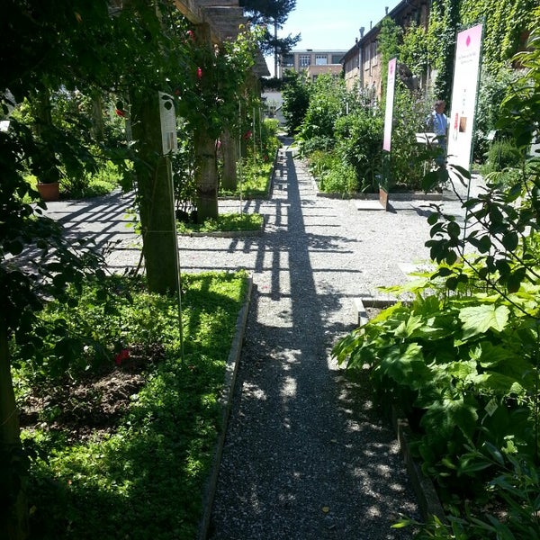 Photos At University Of Fribourg Botanic Garden Botanical Garden
