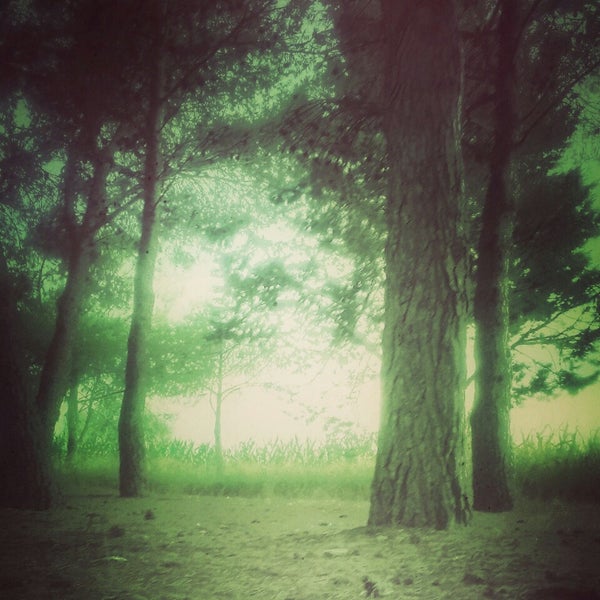 Embalse de San Bartolomé Reservoir in Rivas