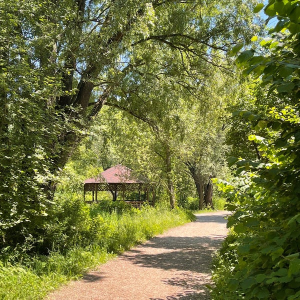 Куркинский парк в химках