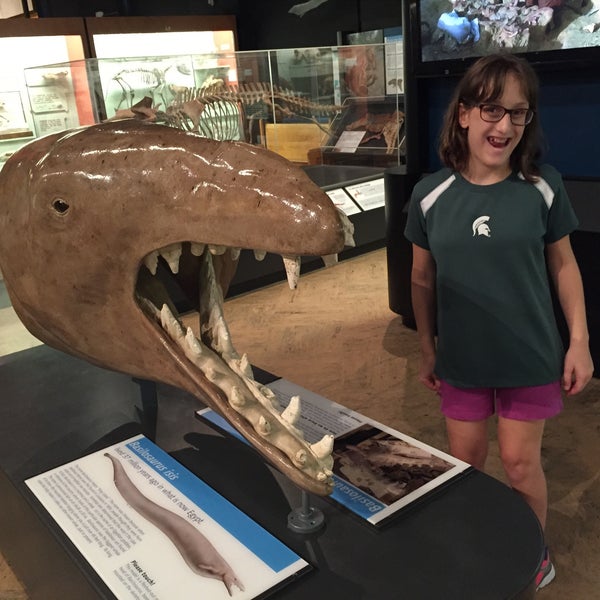 8/23/2015 tarihinde Joel H.ziyaretçi tarafından University of Michigan Museum of Natural History'de çekilen fotoğraf