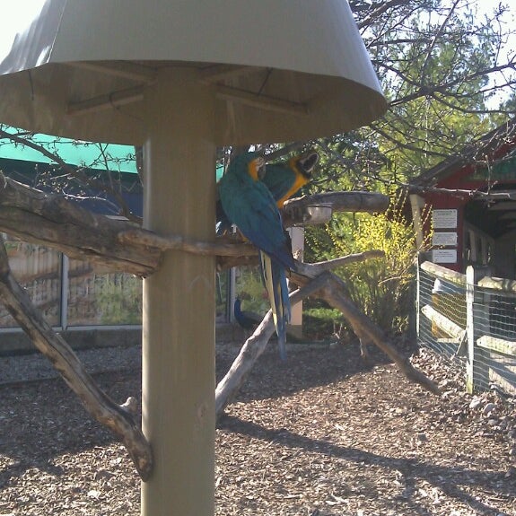 4/27/2013 tarihinde Rachel S.ziyaretçi tarafından The Children&#39;s Zoo at Celebration Square'de çekilen fotoğraf